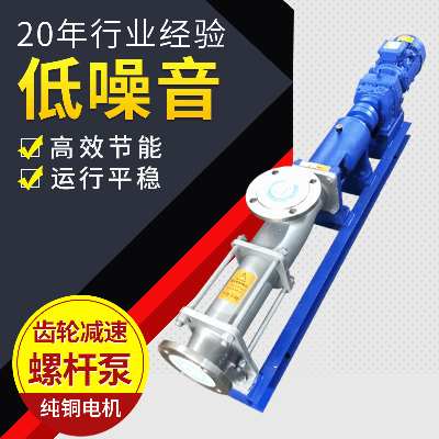 304不锈钢齿轮减速螺杆泵