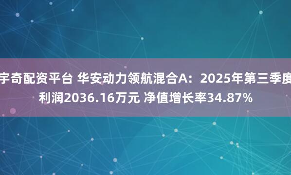 宇奇配资平台 华安动力领航混合A：2025年第三季度利润2036.16万元 净值增长率34.87%