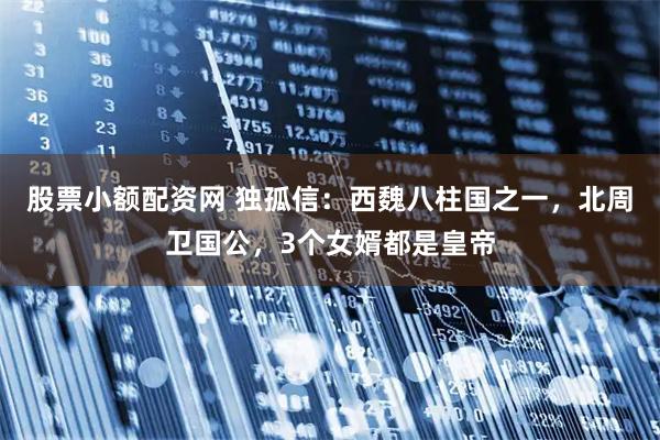 股票小额配资网 独孤信：西魏八柱国之一，北周卫国公，3个女婿都是皇帝